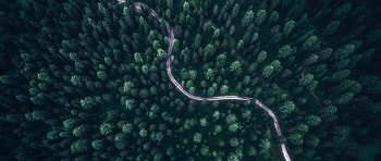 林業碳匯