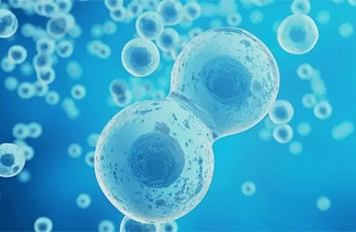 靜液壓試驗