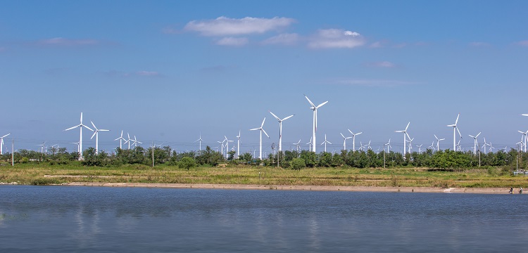 鉛砷汞檢測