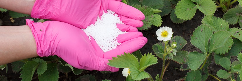動植物油脂折光指數(shù)測定