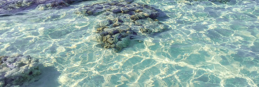 近海水下地形測繪